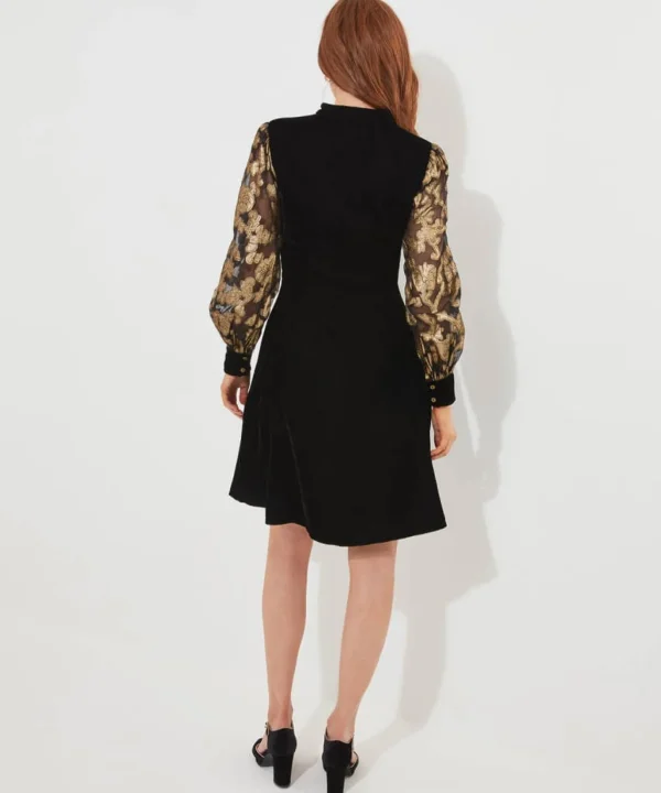 Shop Women's Collection | Vintage & Retro Dresses | Velvet & Devor茅 Dresses | Party Dresses | Occasion Outfits | Dresses | Sale Dresses | Top Picks | Top Picks | Top Picks | Top Picks | Top Picks | Women's | Women's Joe Browns Celeste Velvet Dress Black
