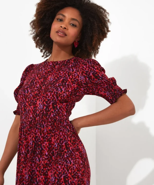 Shop Women's Collection | Vintage & Retro Dresses | Midi Dresses | Dresses | Sale Dresses | Top Picks | Top Picks | Top Picks | Women's | Women's Joe Browns Intelligent Animal Dress Pink