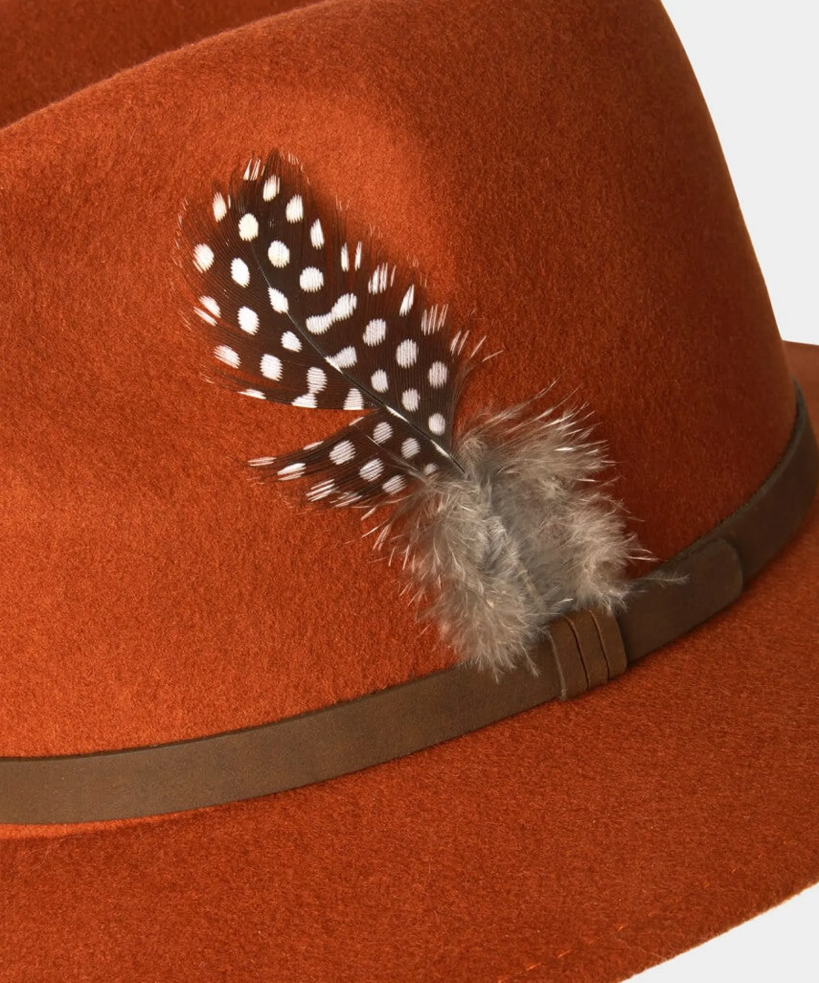 premium_chic_wool_fedora_3.webp Accessories & Jewellery | Sale Accessories & Jewellery | Women's | Women's Joe Browns Premium Chic Wool Fedora Rust / Mustard