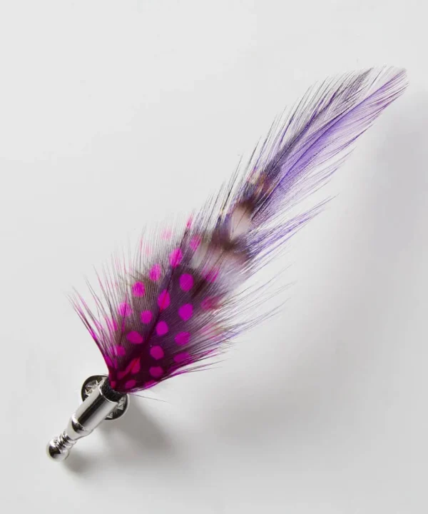 Accessories | Men，s Joe Browns Vibrant Feather Pin Multi
