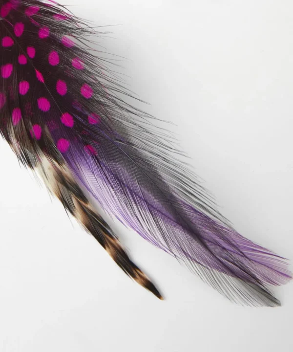 Accessories | Men，s Joe Browns Vibrant Feather Pin Multi