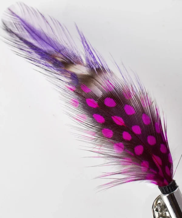 Accessories | Men,s Joe Browns Vibrant Feather Pin Multi